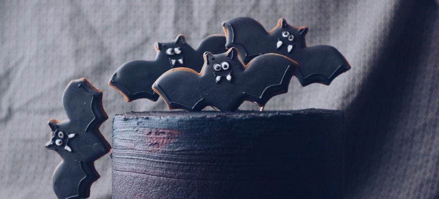 Chocolate Halloween Cake with Spiced Bat Biscuits